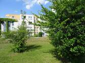 Außenansicht - 2 Zimmer Etagenwohnung zum Kaufen in Mittweida
