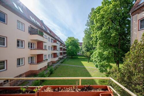 Blick in den Garten - 