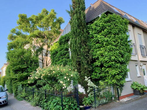 Ansicht von der Straße - 