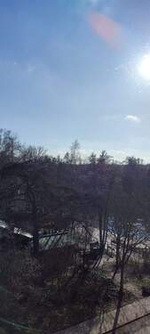 IMG_20260302_151412.jpg - 