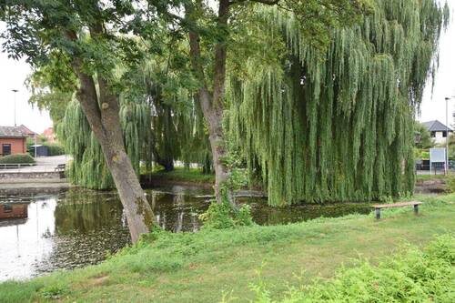 Blick auf den Teich nach rechts.jpg - 