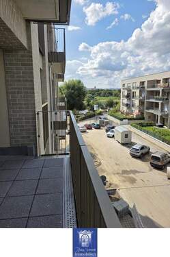 Blick Richtung Elbe - 