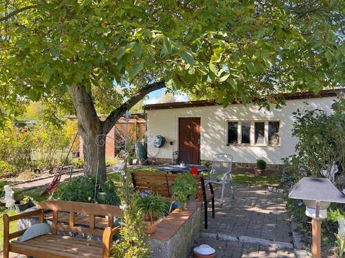 Oase unterm Nussbaum - 