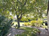 Blick in den Garten - 