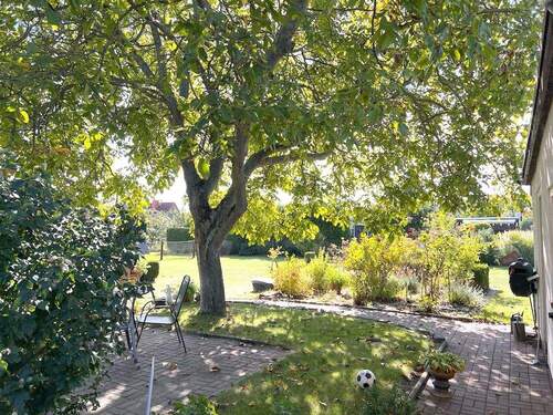 Blick in den Garten - 