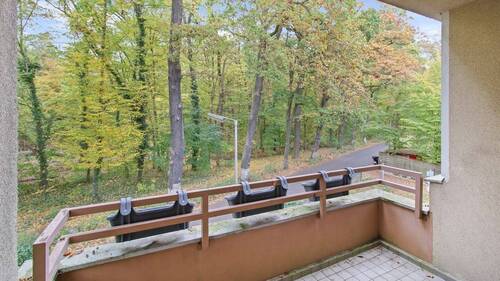 Blick in den Spandauer Forst - 