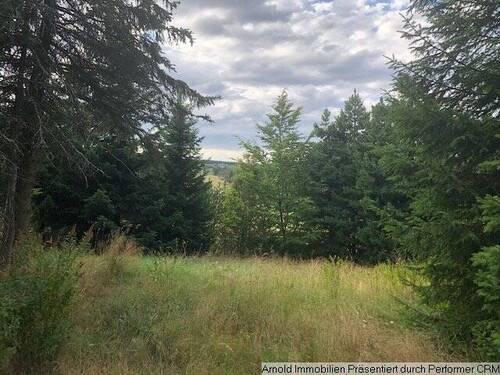 Ansicht - Grundstück in Altenberg