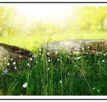 DG-Wohlfühloase für sportliche, 3.OG ohne Lift mit EBK und Fußbodenheizung - Berlin Französisch Buchholz