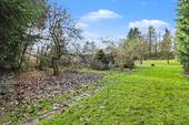 IMG_4396 - 