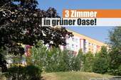 3 Zimmer in grüner Oase - Attraktive 3 Zimmer, Bad mit Wanne und Dusche und Abstellraum.