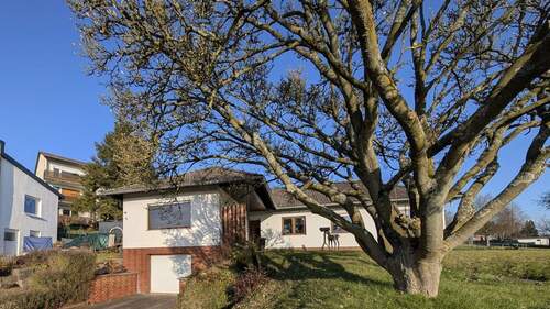 Hauptansicht - Gepflegtes Einfamilienhaus in echter Toplage von Frankenberg