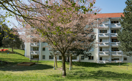 Screenshot 2026-02-25 120353.png - Ruhige Lage mit Ausblick-3-Raum-Wohnung am Petersberg