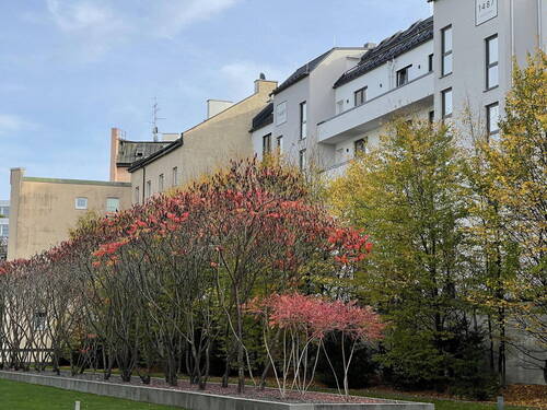 Rückseite Gebäude - 