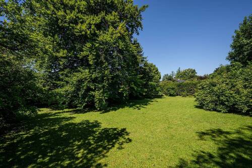 Bild 4 - Grundstück in Berg zum Kaufen