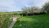 Bild 11 - 