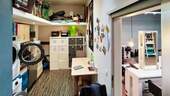 hinterer Bereich - 