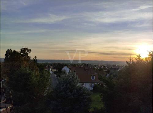 Blick über das Elbtal - 