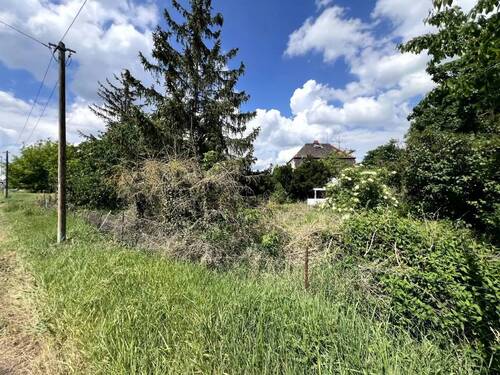 59.png - Grundstück in Kabelsketal