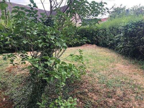 Garten - 