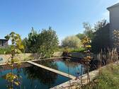 Schwimmteich - 