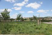 Spitzhausblick vom Garten - 