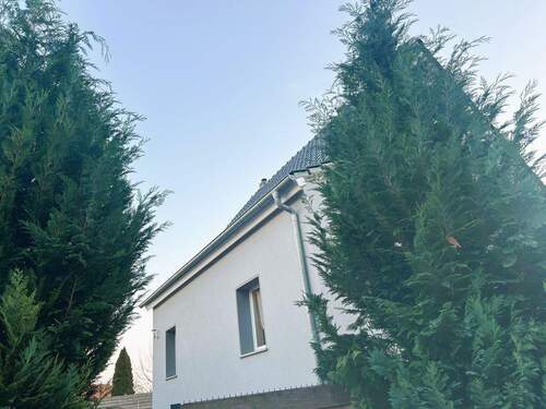 Objektansicht - Einfamilienhaus zum Kaufen in Seegebiet Mansfelder Land