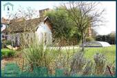 1955 Blick durch den Garten.jpg - 