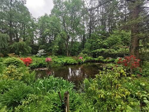 Garten - 