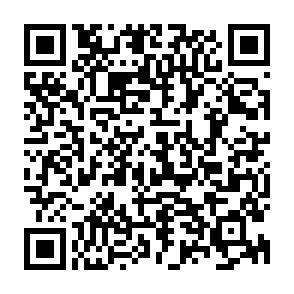 QR-Code - 