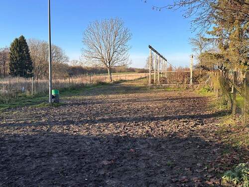 IMG-20251208-WA0037.jpg - 