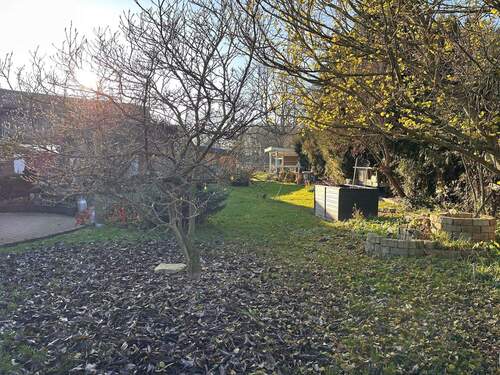 IMG-20251208-WA0049.jpg - 