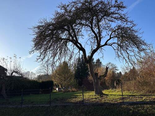 IMG-20251208-WA0053.jpg - 