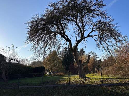 IMG-20251208-WA0056.jpg - 