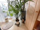 Kamin - 
