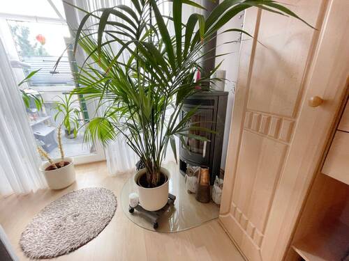 Kamin - 