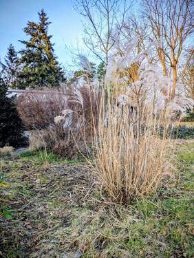 PXL_20260122_143345674~3.jpg - 