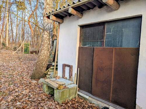 PXL_20260122_143613968~2.jpg - 