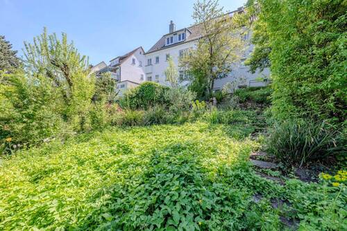 Bienenwiese mit Garten - 