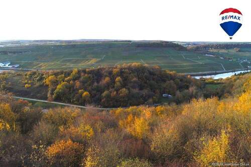 RE/MAX Immobilien DeLux Grundstück Wincheringen - 