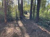 Blick zur Straße - Grundstück in Petershagen Eggersdorf
