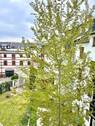 Ausblick in den Hof - 