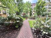 IMG_9871.jpeg - 