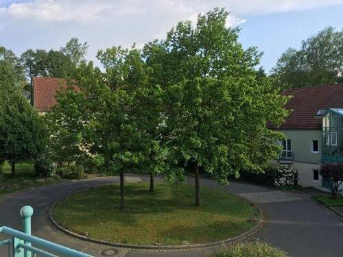 Blick vom Balkon - 