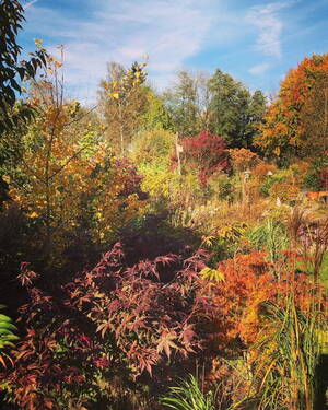 Garten Herbst - 