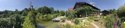 Terrasse / Badeteich - 