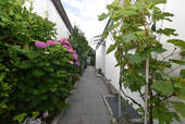 Zuwegung zum Eingang - 