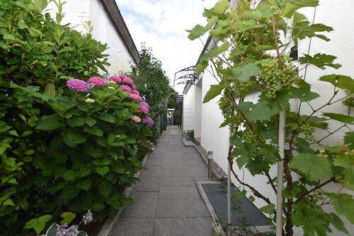 Zuwegung zum Eingang - 