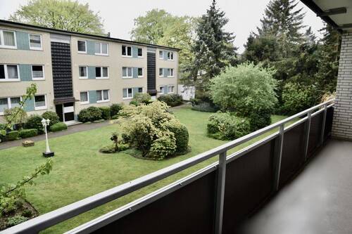 Blick in den Garten - 