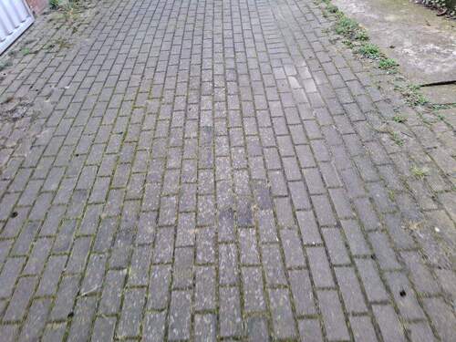 20260317_143056.jpg - 