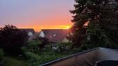 Blick vom Balkon (15.05.2026) - 